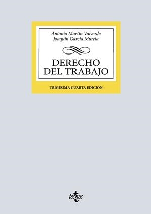 DERECHO DEL TRABAJO | 9788430992607 | GARCIA MURCIA, JOAQUIN / MARTIN VALVERDE, ANTONIO | Llibreria La Gralla | Librería online de Granollers