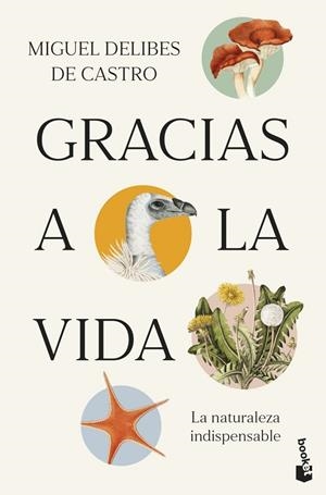 GRACIAS A LA VIDA | 9788423369539 | DELIBES DE CASTRO, MIGUEL | Llibreria La Gralla | Librería online de Granollers
