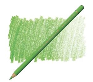 LLAPIS POLYCHROMOS VERD HERBA 166 | 4005401101666 | 110166 | Llibreria La Gralla | Llibreria online de Granollers