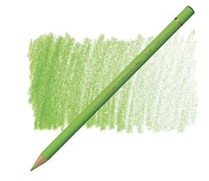 LLAPIS POLYCHROMOS VERD CLAR 171 | 4005401101710 | 110171 | Llibreria La Gralla | Llibreria online de Granollers