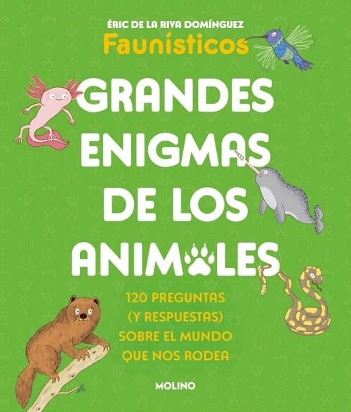 GRANDES ENIGMAS DE LOS ANIMALES (COLECCIÓN GRANDES ENIGMAS) | 9788427253698 | DE LA RIVA DOMÍNGUEZ (FAUNÍSTICOS), ÉRIC | Llibreria La Gralla | Llibreria online de Granollers