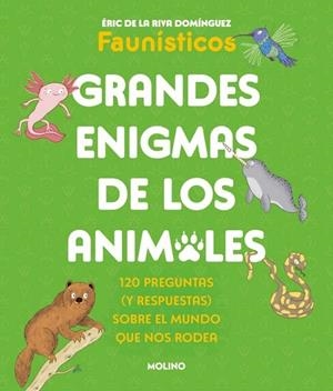 GRANDES ENIGMAS DE LOS ANIMALES (COLECCIÓN GRANDES ENIGMAS) | 9788427253698 | DE LA RIVA DOMÍNGUEZ (FAUNÍSTICOS), ÉRIC | Llibreria La Gralla | Llibreria online de Granollers