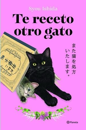 TE RECETO OTRO GATO | 9788408318705 | ISHIDA, SYOU | Llibreria La Gralla | Librería online de Granollers