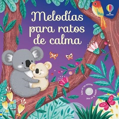 MELODÍAS PARA RATOS DE CALMA | 9781806070084 | TAPLIN, SAM | Llibreria La Gralla | Librería online de Granollers