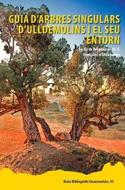 GUIA D'ARBRES SINGULARS D'ULLDEMOLINS I EL SEU ENTORN | 9788423209217 | VVAA | Llibreria La Gralla | Llibreria online de Granollers