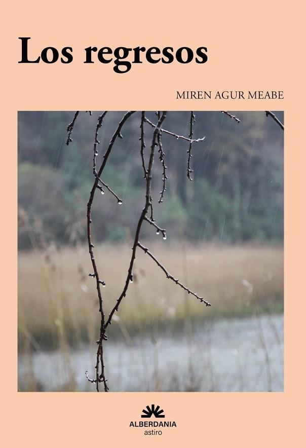 REGRESOS, LOS | 9788498689563 | MEABE, MIREN AGUR | Llibreria La Gralla | Llibreria online de Granollers