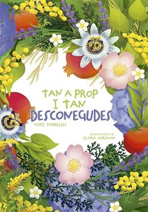 TAN A PROP I TAN DESCONEGUDES | 9791387878146 | TORRELLES, NURI | Llibreria La Gralla | Llibreria online de Granollers