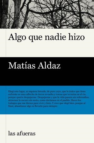 ALGO QUE NADIE HIZO | 9791399131116 | ALDAZ, MATÍAS | Llibreria La Gralla | Llibreria online de Granollers