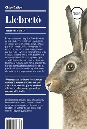 LLEBRETO | 9791387726393 | DALTON, CHLOE | Llibreria La Gralla | Llibreria online de Granollers