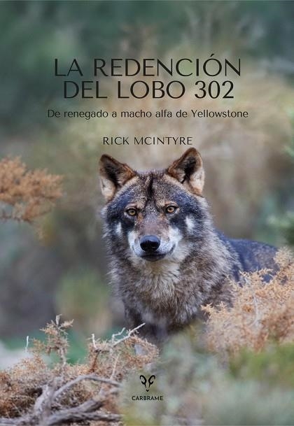 REDENCIÓN DEL LOBO 302, LA | 9788412949094 | MCINTYRE, RICK | Llibreria La Gralla | Llibreria online de Granollers