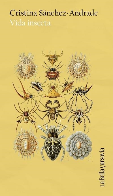 VIDA INSECTA | 9788433949653 | SÁNCHEZ-ANDRADE, CRISTINA | Llibreria La Gralla | Librería online de Granollers