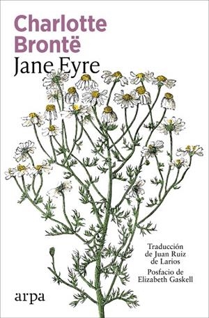 JANE EYRE | 9791387833947 | BRONTË, CHARLOTTE | Llibreria La Gralla | Librería online de Granollers