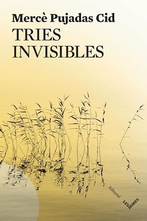 TRIES INVISIBLES | 9791399072150 | PUJADAS CID, MERCÈ | Llibreria La Gralla | Llibreria online de Granollers