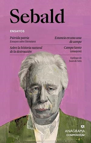ENSAYOS | 9788433949585 | SEBALD, W.G. | Llibreria La Gralla | Llibreria online de Granollers