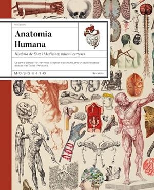 ANATOMIA HUMANA | 9788410417724 | CASSANY, MIA | Llibreria La Gralla | Llibreria online de Granollers