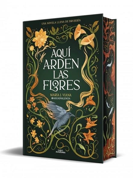 AQUÍ ARDEN LAS FLORES | 9791387741662 | @AIGUADVALENCIA | Llibreria La Gralla | Llibreria online de Granollers