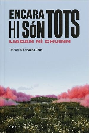 ENCARA HI SÓN TOTS | 9788419059598 | NI CHUINN, LIADAN | Llibreria La Gralla | Librería online de Granollers