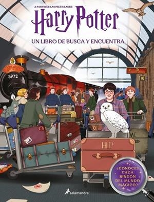 HARRY POTTER. UN LIBRO DE BUSCA Y ENCUENTRA (HARRY POTTER) | 9788419868114 | ROWLING, J.K. | Llibreria La Gralla | Llibreria online de Granollers