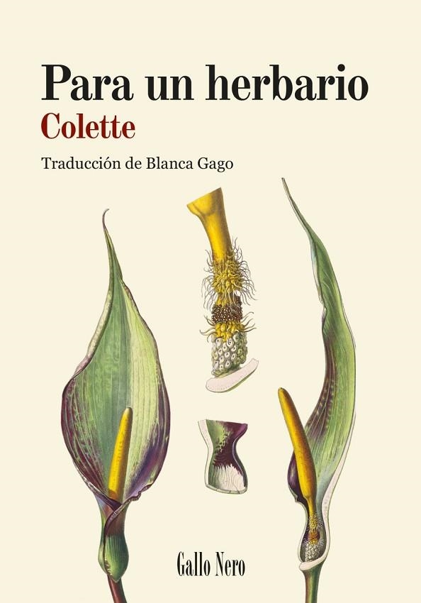 PARA UN HERBARIO | 9788419168887 | COLETTE, COLETTE | Llibreria La Gralla | Librería online de Granollers