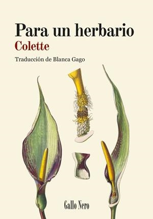 PARA UN HERBARIO | 9788419168887 | COLETTE, COLETTE | Llibreria La Gralla | Librería online de Granollers