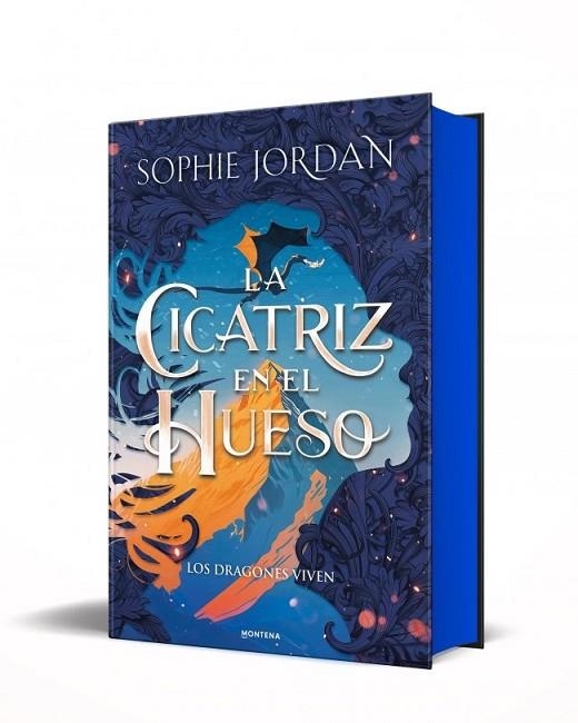 CICATRIZ EN EL HUESO, LA  (A FIRE IN THE SKY 2) | 9791387724160 | JORDAN, SOPHIE | Llibreria La Gralla | Llibreria online de Granollers