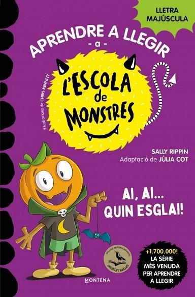 ESCOLA DE MONSTRES 25 - AI, AI... QUIN ESGLAI! | 9791387809836 | RIPPIN, SALLY | Llibreria La Gralla | Llibreria online de Granollers