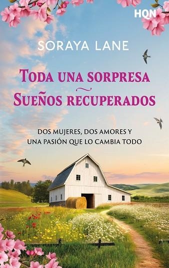 TODA UNA SORPRESA / SUEÑOS RECUPERADOS | 9791370176969 | LANE, SORAYA | Llibreria La Gralla | Librería online de Granollers