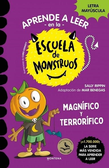 ESCUELA DE MONSTRUOS 25 - MAGNÍFICO Y TERRORÍFICO | 9791387809829 | RIPPIN, SALLY | Llibreria La Gralla | Librería online de Granollers