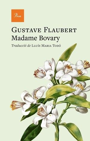 MADAME BOVARY | 9791388369070 | FLAUBERT, GUSTAVE | Llibreria La Gralla | Llibreria online de Granollers