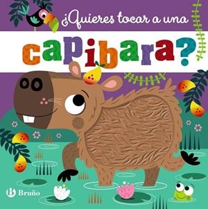 ¿QUIERES TOCAR A UNA CAPIBARA? | 9788469646618 | JENKINS, CARA | Llibreria La Gralla | Llibreria online de Granollers