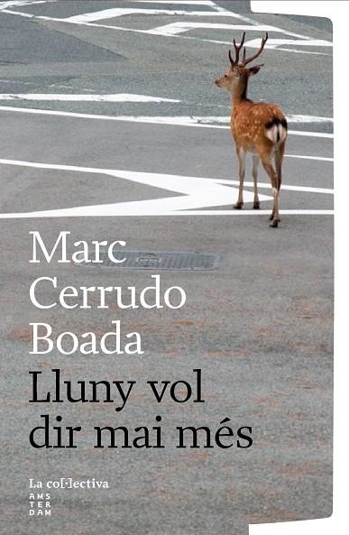 LLUNY VOL DIR MAI MÉS | 9791387800260 | CERRUDO BOADA, MARC | Llibreria La Gralla | Llibreria online de Granollers