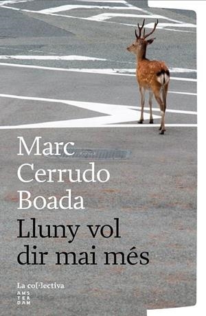 LLUNY VOL DIR MAI MÉS | 9791387800260 | CERRUDO BOADA, MARC | Llibreria La Gralla | Llibreria online de Granollers