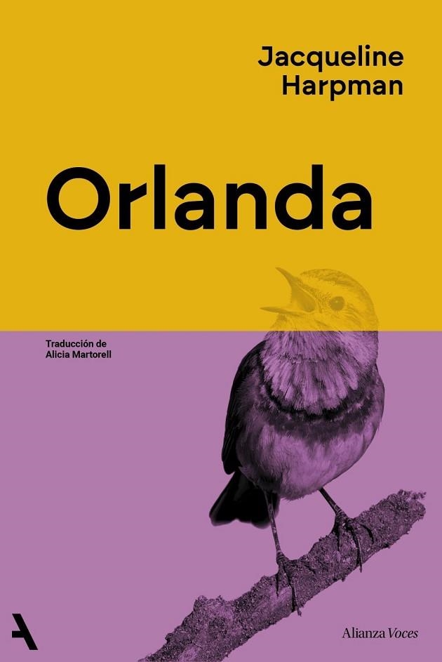 ORLANDA | 9791370093020 | HARPMAN, JACQUELINE | Llibreria La Gralla | Llibreria online de Granollers