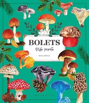 BOLETS. VIDA SECRETA | 9788410417687 | ORTEGA, RENA | Llibreria La Gralla | Librería online de Granollers