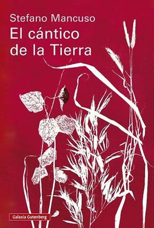 CÁNTICO DE LA TIERRA, EL | 9791388019845 | MANCUSO, STEFANO | Llibreria La Gralla | Llibreria online de Granollers