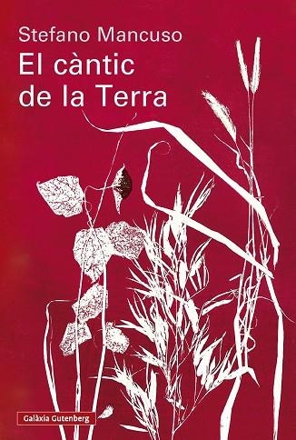 CÀNTIC DE LA TERRA, EL | 9791388019852 | MANCUSO, STEFANO | Llibreria La Gralla | Llibreria online de Granollers