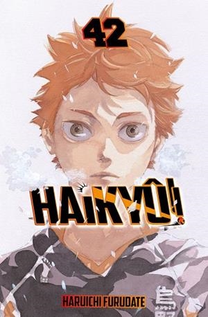 HAIKYÛ!! Nº 42/45 | 9791388101090 | FURUDATE, HARUICHI | Llibreria La Gralla | Llibreria online de Granollers