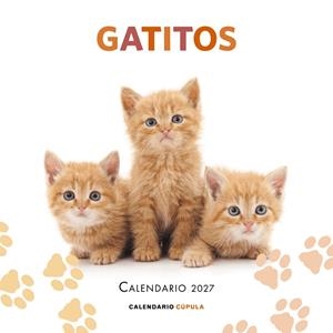 CALENDARIO GATITOS 2027 | 9788448049300 | VVAA | Llibreria La Gralla | Llibreria online de Granollers