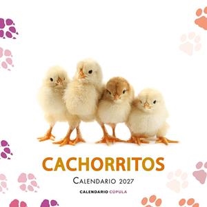 CALENDARIO CACHORRITOS 2027 | 9788448049317 | VVAA | Llibreria La Gralla | Llibreria online de Granollers