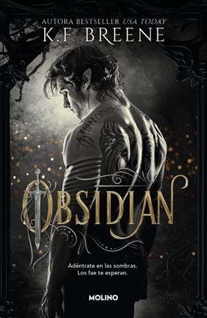 LOS FAE DE LAS SOMBRAS 1 - OBSIDIAN | 9788427257290 | BREENE, K.F. | Llibreria La Gralla | Librería online de Granollers