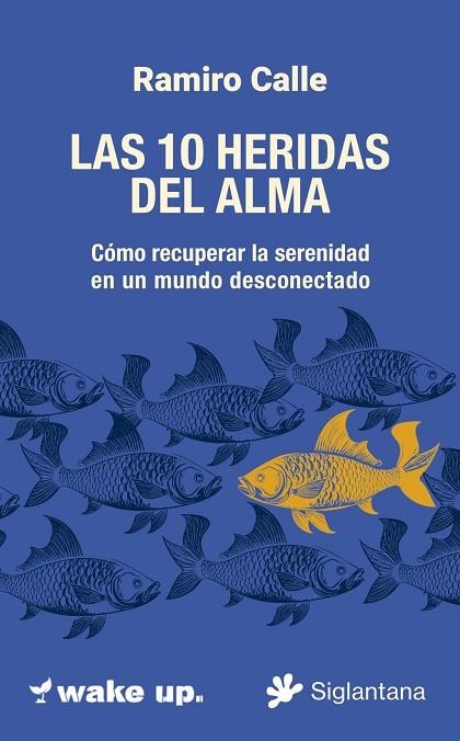 LAS 10 HERIDAS  DEL ALMA | 9788410179745 | CALLE, RAMIRO | Llibreria La Gralla | Llibreria online de Granollers