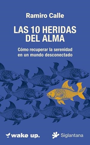 LAS 10 HERIDAS  DEL ALMA | 9788410179745 | CALLE, RAMIRO | Llibreria La Gralla | Llibreria online de Granollers