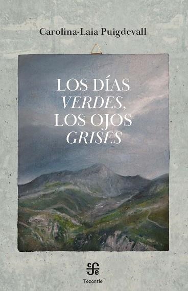 DÍAS VERDES, LOS , LOS OJOS GRISES | 9788437508658 | PUIGDEVALL CLAVER, CAROLINA-LAIA | Llibreria La Gralla | Llibreria online de Granollers