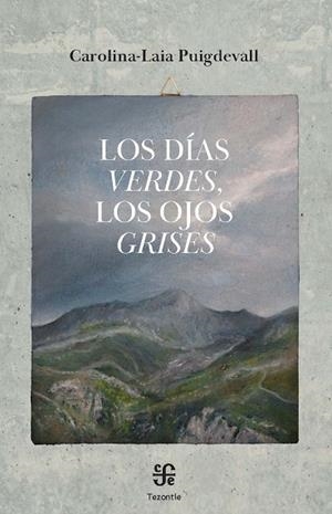 DÍAS VERDES, LOS , LOS OJOS GRISES | 9788437508658 | PUIGDEVALL CLAVER, CAROLINA-LAIA | Llibreria La Gralla | Llibreria online de Granollers