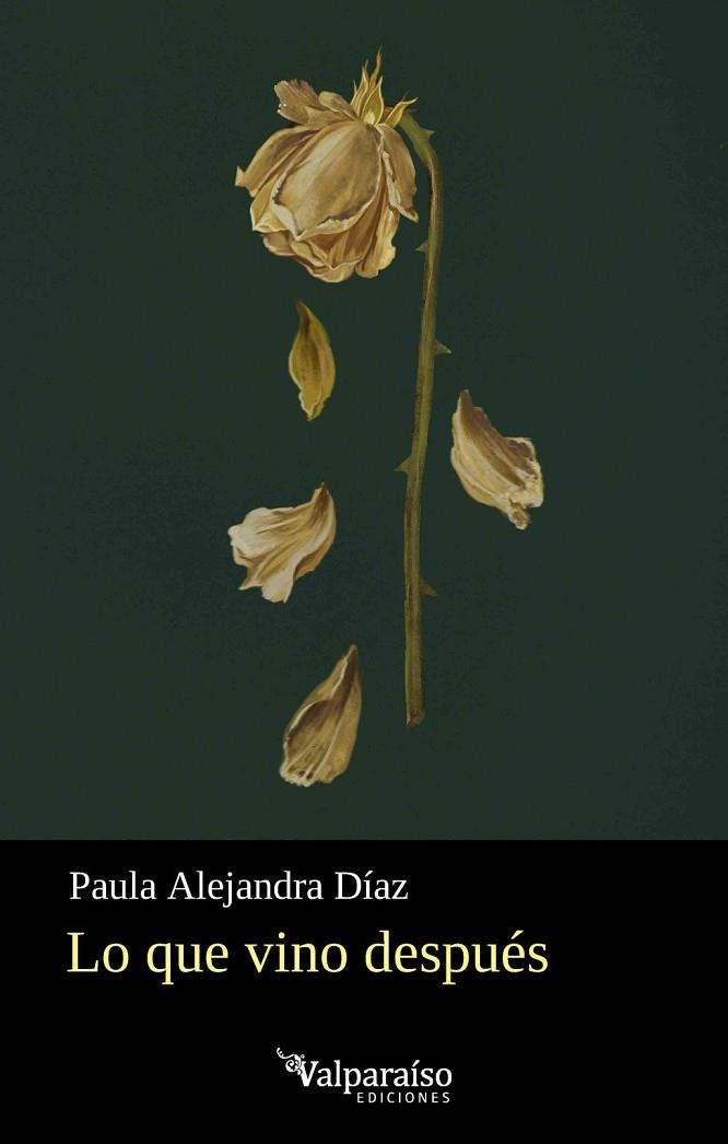 LO QUE VINO DESPUÉS | 9791388007989 | DÍAZ, PAULA ALEJANDRA | Llibreria La Gralla | Librería online de Granollers