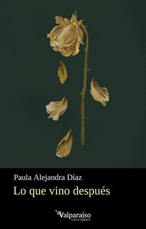 LO QUE VINO DESPUÉS | 9791388007989 | DÍAZ, PAULA ALEJANDRA | Llibreria La Gralla | Llibreria online de Granollers