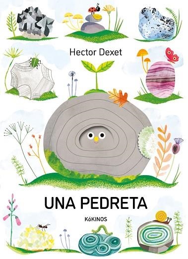 UNA PEDRETA | 9791387686413 | DEXET, HECTOR | Llibreria La Gralla | Librería online de Granollers