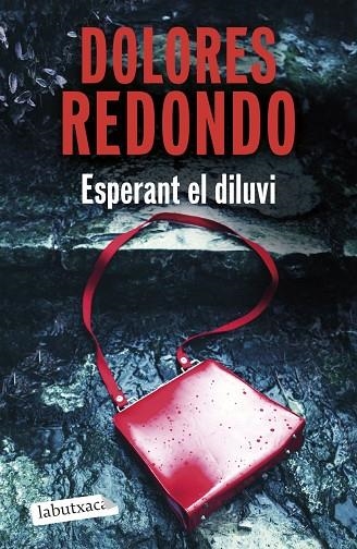 ESPERANT EL DILUVI | 9791387802875 | REDONDO, DOLORES REDONDO | Llibreria La Gralla | Llibreria online de Granollers