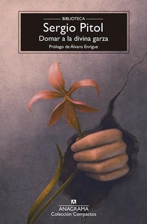 DOMAR A LA DIVINA GARZA | 9788433950987 | PITOL, SERGIO | Llibreria La Gralla | Llibreria online de Granollers