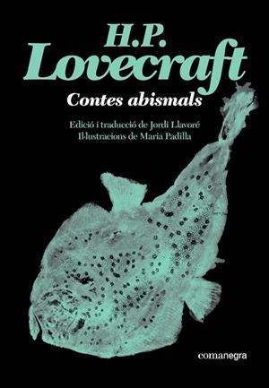 CONTES ABISMALS | 9791387969530 | LOVECRAFT, H.P. | Llibreria La Gralla | Llibreria online de Granollers